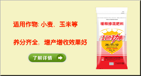 麻豆精品视频麻豆文化传媒有限公司网站缓释专用肥