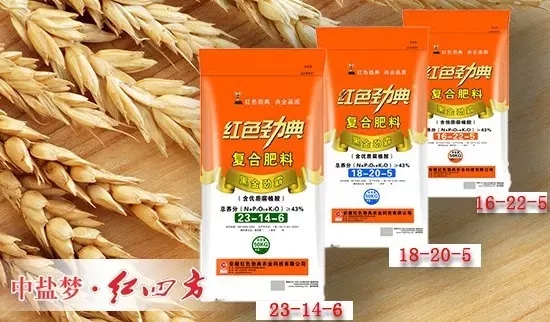 麻豆精品视频麻豆文化传媒有限公司网站专用肥