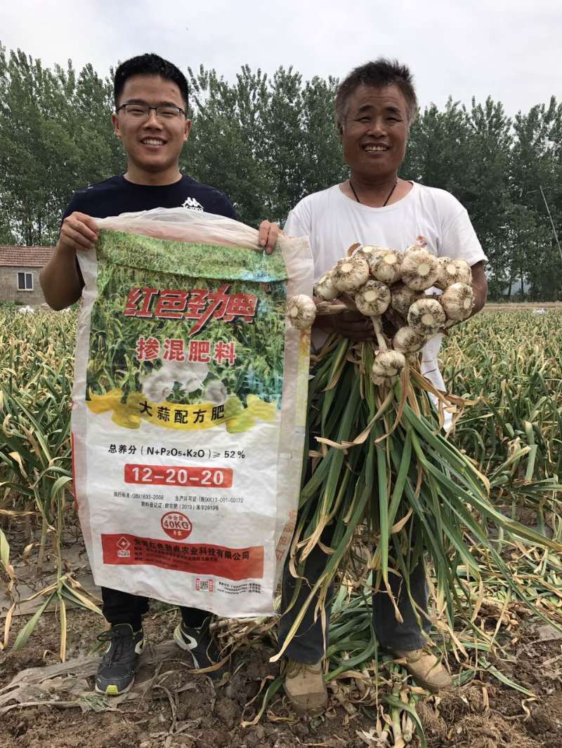 麻豆精品视频掺混肥料大蒜配方肥真实案例