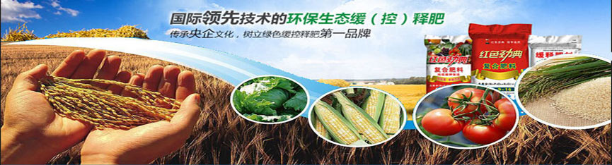 麻豆精品视频专用肥