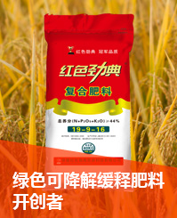 麻豆精品视频会员找回密码